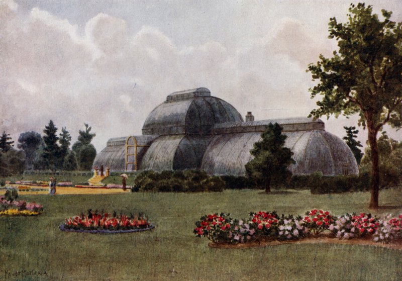 Kew Gardens: Palmutalo (väri litho) tekijältä Thomas Mower Martin