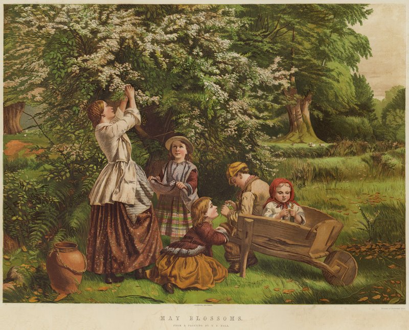 May Blossoms (chromolitho) tekijältä Thomas P. Hall