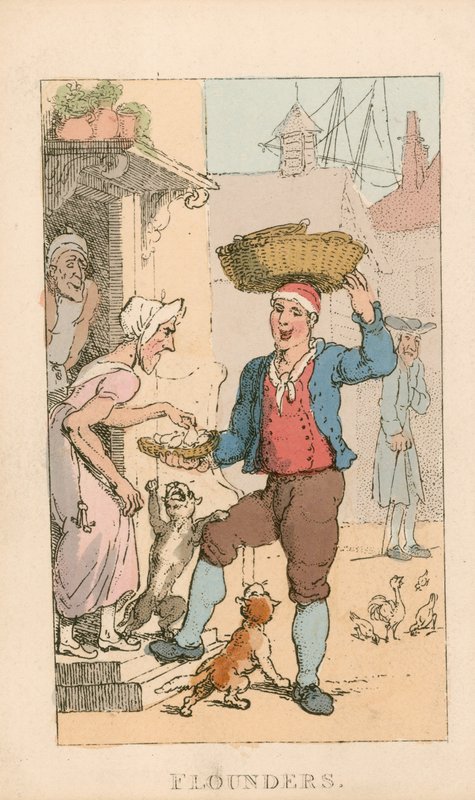 Flounders tekijältä Thomas Rowlandson