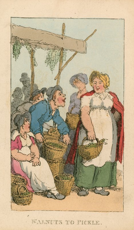 Saksanpähkinöitä suolakurkkua tekijältä Thomas Rowlandson