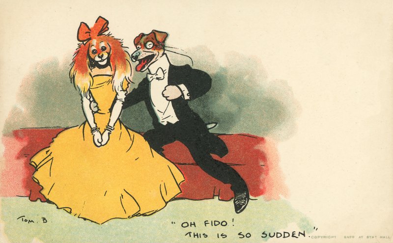 Koirat pukeutuneet romanttiseksi pariksi (väri litho) tekijältä Tom Browne