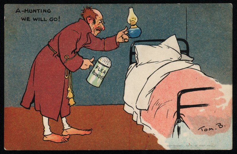 Mies metsästää kirppuja sängyssään (chromolitho) tekijältä Tom Browne