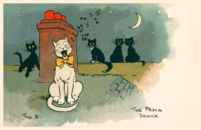 Prima Donna (värilitro) tekijältä Tom Browne