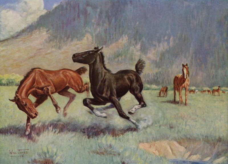 Smoky The Cow Horse tekijältä Unbekannt Unbekannt