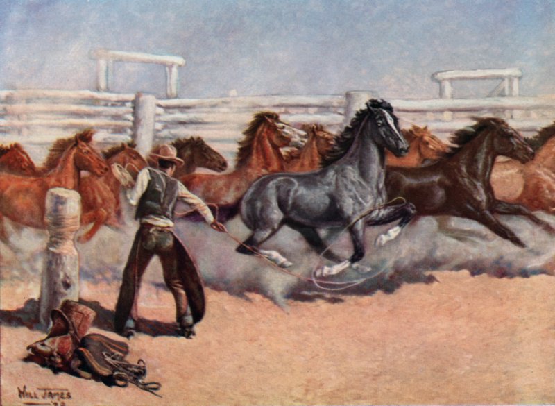 Smoky The Cow Horse tekijältä Unbekannt Unbekannt