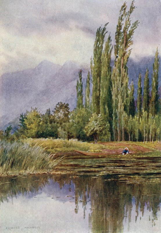 Tyyntä myrskyn edellä, Dal Lake tekijältä Unbekannt Unbekannt