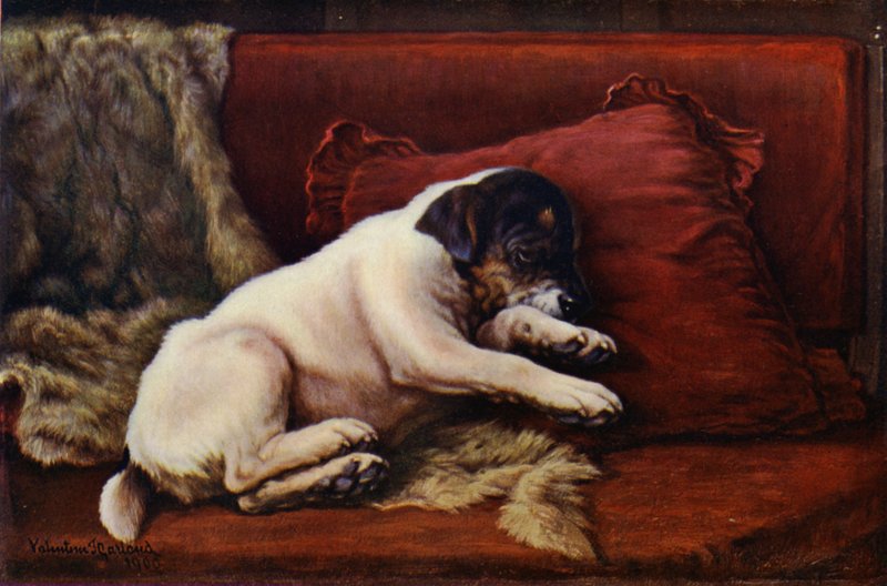 Iltapäivän torkku (väri litho) tekijältä Valentine Thomas Garland