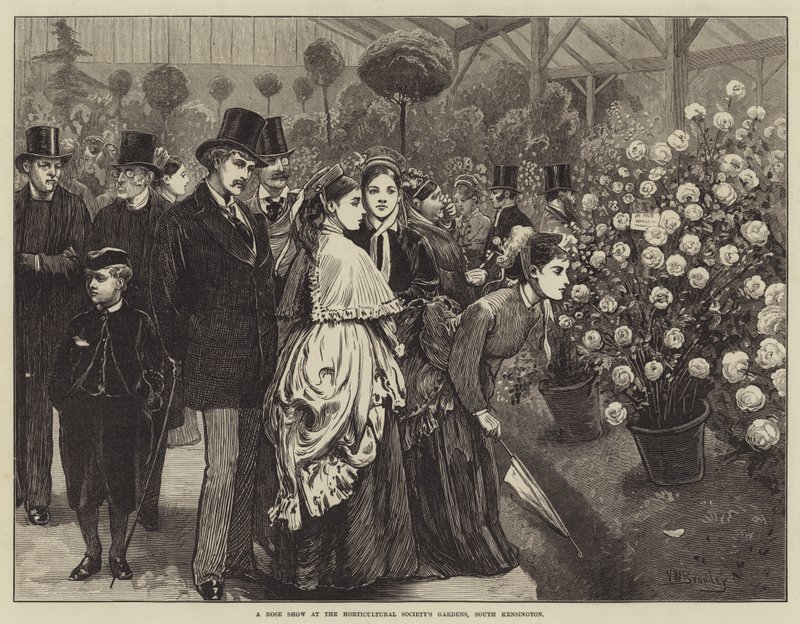 Ruusunäyttely puutarhayhdistyksen puutarhassa, South Kensingtonissa. tekijältä Valentine Walter Lewis Bromley