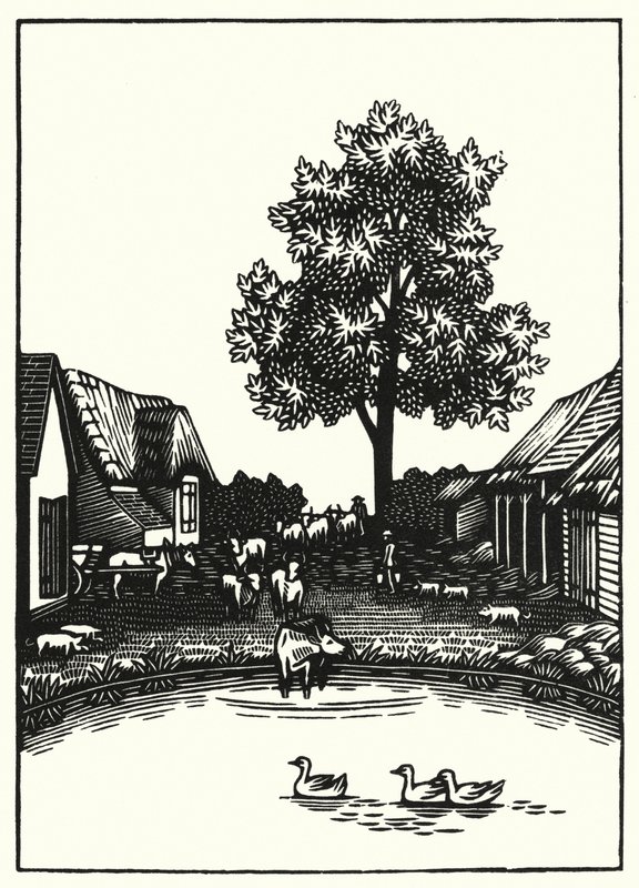 Kuvitus Thomas Hardyn Tess Of The DUrbervillesiin (kaiverrus) tekijältä Vivien Gribble
