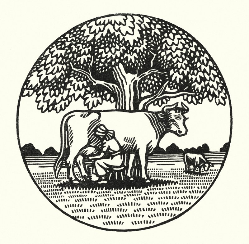 Kuvitus Thomas Hardyn Tess Of The DUrbervillesiin (kaiverrus) tekijältä Vivien Gribble