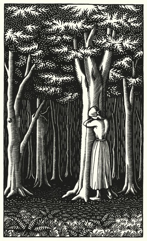 Kuvitus Thomas Hardyn Tess Of The DUrbervillesiin (kaiverrus) tekijältä Vivien Gribble