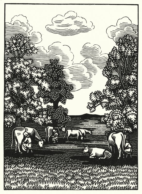 Kuvitus Thomas Hardyn Tess Of The D’Urbervillesiin (kaiverrus) tekijältä Vivien Gribble