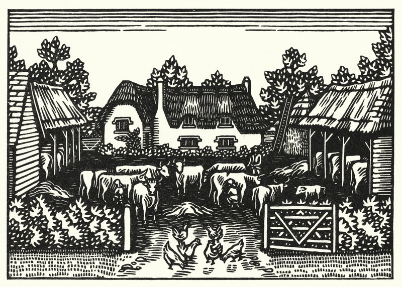 Kuvitus Thomas Hardyn Tess Of The D’Urbervillesiin (kaiverrus) tekijältä Vivien Gribble