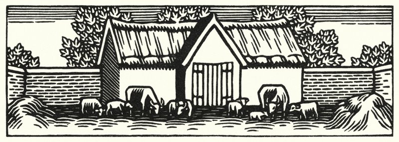 Kuvitus Thomas Hardyn Tess Of The D’Urbervillesiin (kaiverrus) tekijältä Vivien Gribble