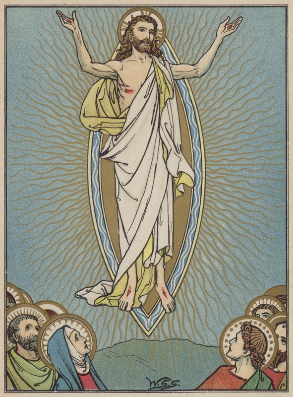 Ascension tekijältä W.S. Stacey