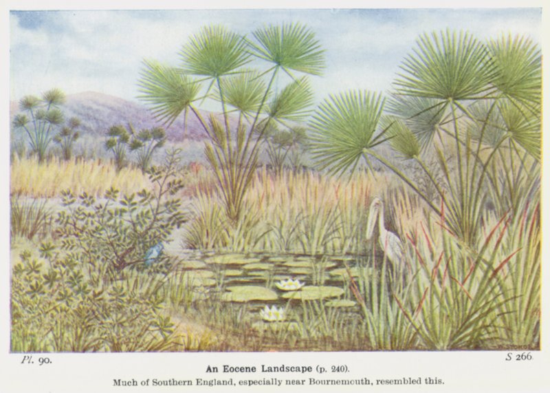 Eoseenimaisema (väri litho) tekijältä W. J. Stokoe