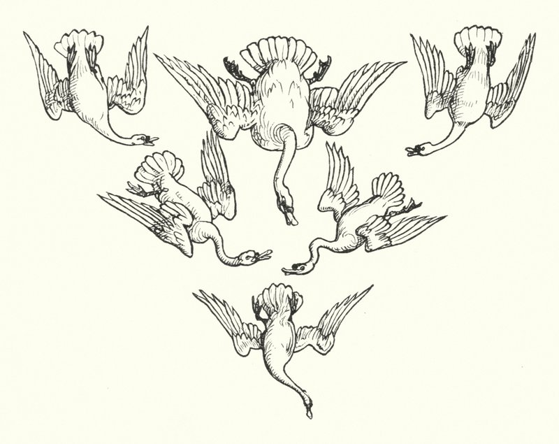 The Six Swans (kaiverrus) tekijältä Walter (after) Crane