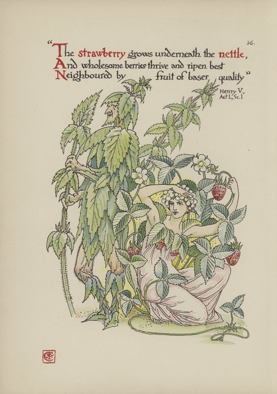 Kukkia Shakespearen puutarhasta tekijältä Walter Crane