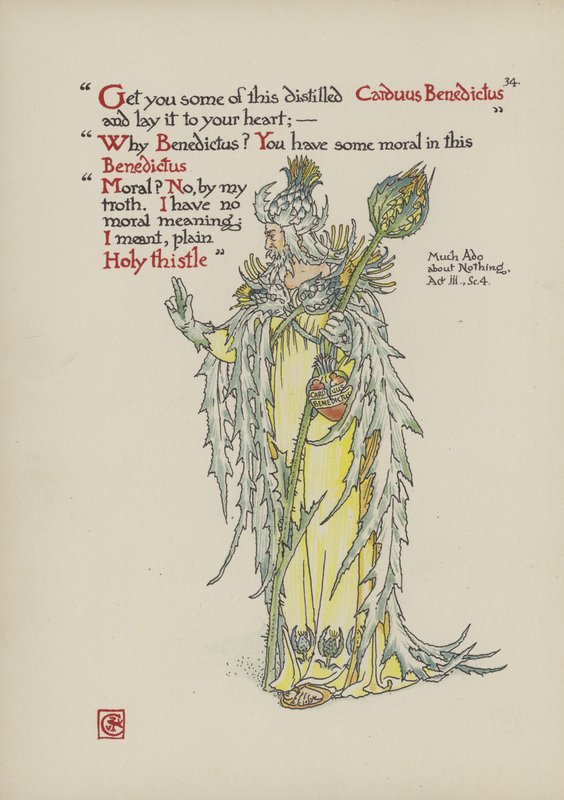 Kukkia Shakespearen puutarhasta tekijältä Walter Crane