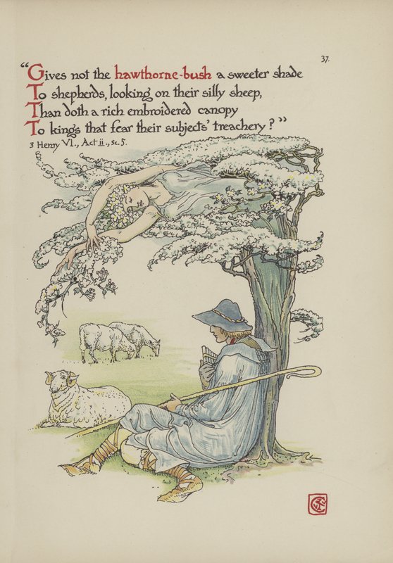 Kukkia Shakespearen puutarhasta tekijältä Walter Crane
