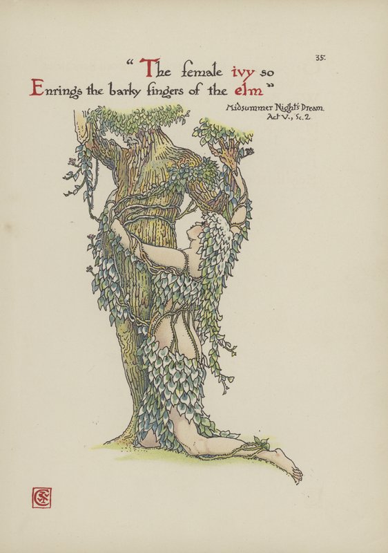 Kukkia Shakespearen puutarhasta tekijältä Walter Crane