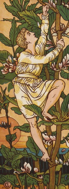 Jack ja pavunvarsi (väri litho) tekijältä Walter Crane