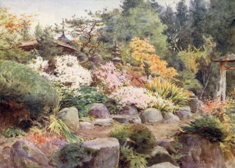 Rock Garden Nikkossa, Cosmosissa ja Maplessa tekijältä Walter Frederick Roofe Tyndale