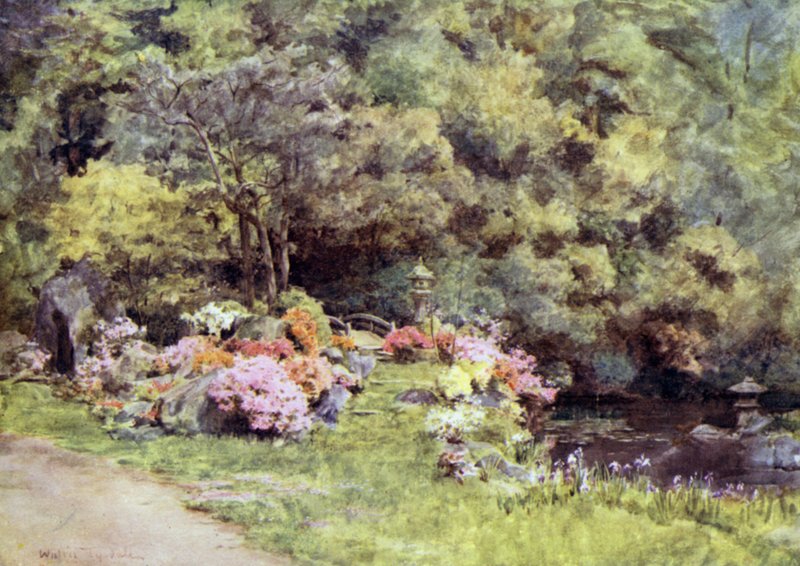 Azaleas in the Choin Temple Gardensissa, Kiotossa tekijältä Walter Frederick Roofe Tyndale