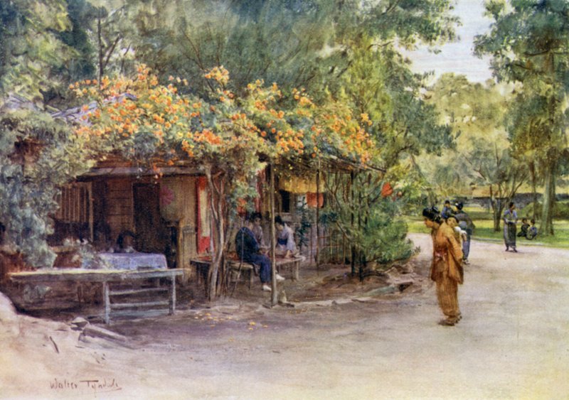 Bignonia-peitteinen säleikkö, Maruyama Park, Kioto tekijältä Walter Frederick Roofe Tyndale
