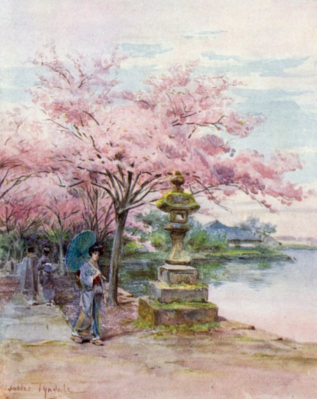 Kirsikankukka ja kivilyhty, Ueno Park tekijältä Walter Frederick Roofe Tyndale