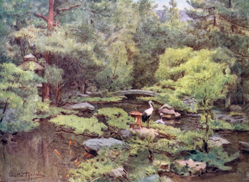 Nami nahka s Water on r Den, Ito tekijältä Walter Frederick Roofe Tyndale