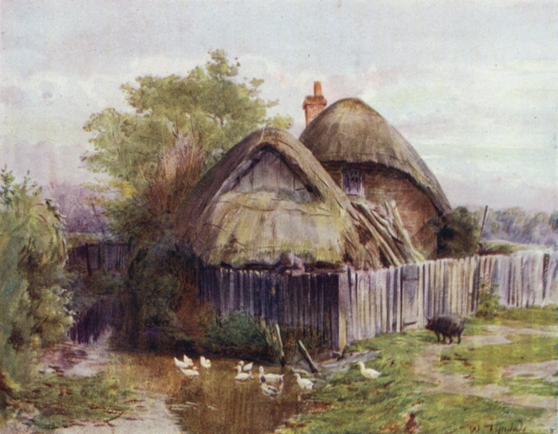 Uusi metsä: Mökki Bartleyssa (väri litho) tekijältä Walter Frederick Roofe Tyndale