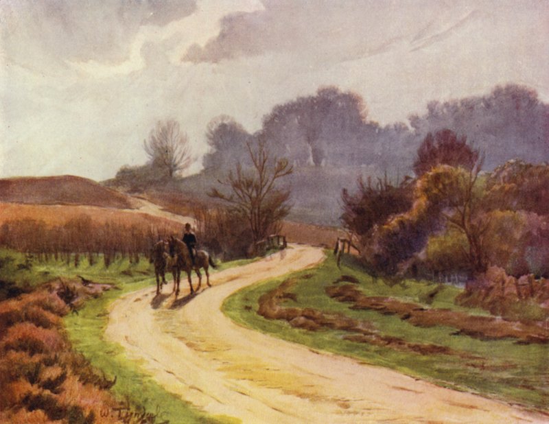Uusi metsä: Beaulieu, Lyndhurst (väri litho) tekijältä Walter Frederick Roofe Tyndale