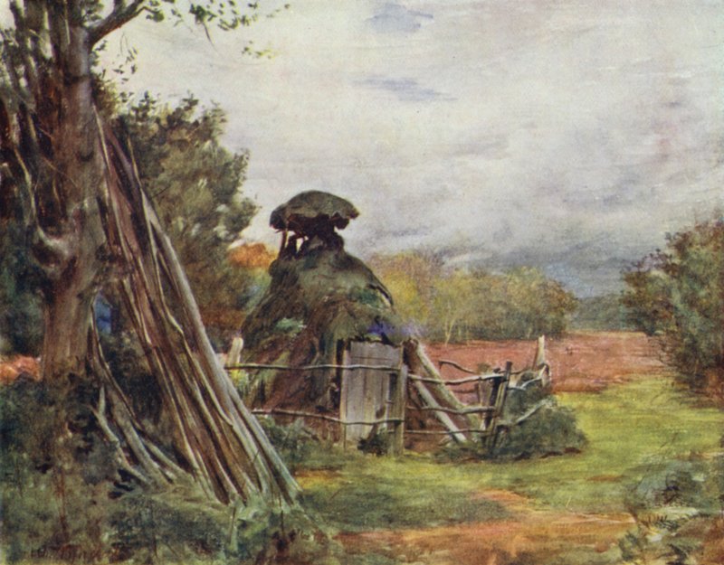 Uusi metsä: Charcoal Burner