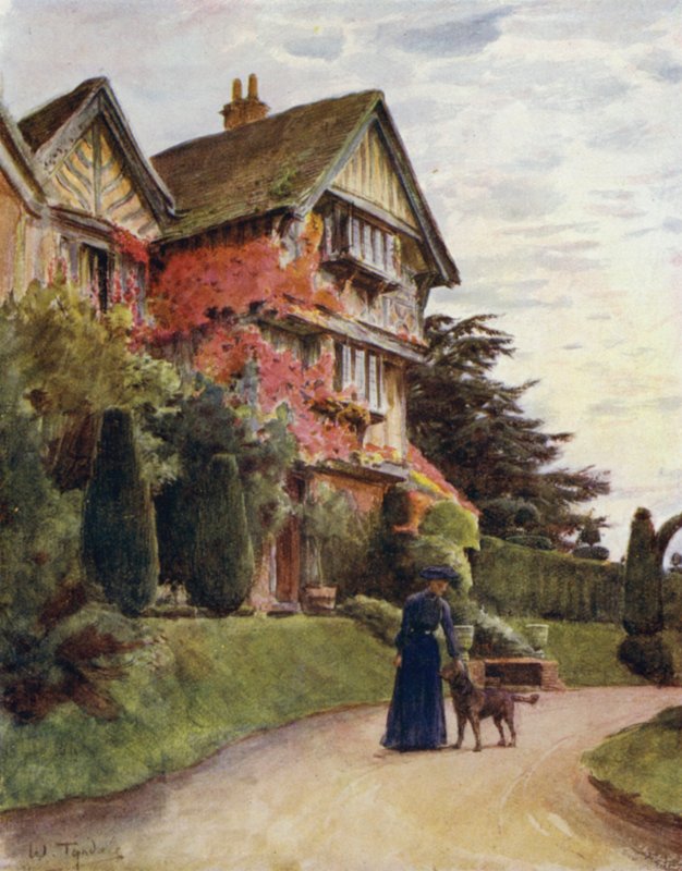 Uusi metsä: Littlecroft, Lyndhurst (väri litho) tekijältä Walter Frederick Roofe Tyndale