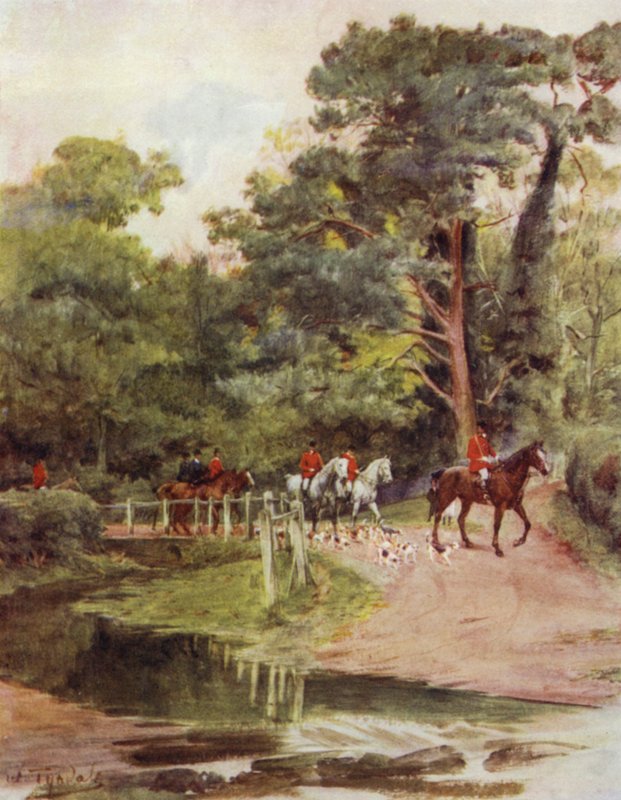 Uusi metsä: Minstead Brook (väri litho) tekijältä Walter Frederick Roofe Tyndale
