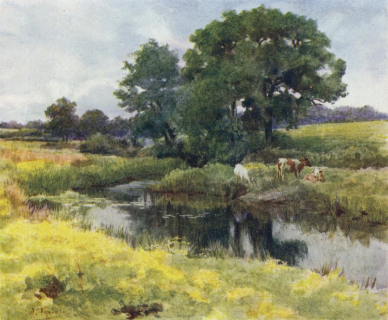 Uusi metsä: Lymington-joella (väri litho) tekijältä Walter Frederick Roofe Tyndale
