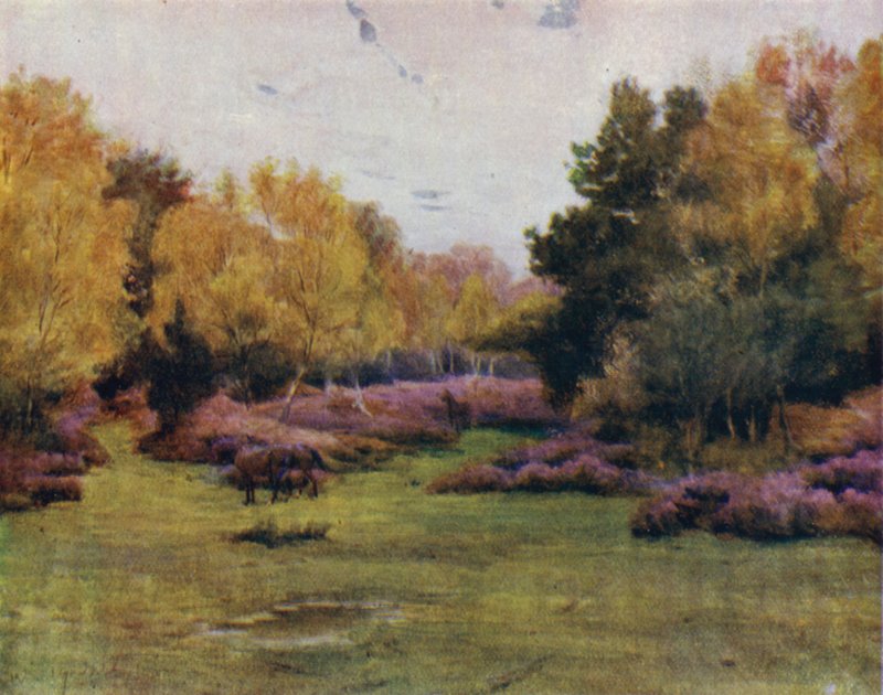 Uusi metsä: Rushpole Wood, Lyndhurst (väri litho) tekijältä Walter Frederick Roofe Tyndale