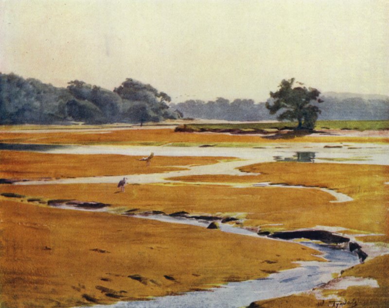 Uusi metsä: Beaulieu-joki (väri litho) tekijältä Walter Frederick Roofe Tyndale