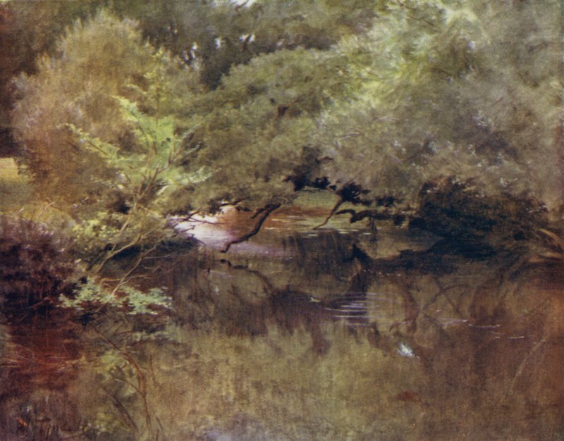 Uusi metsä: Lymington-joki Roydenissa, lähellä Boldrea (väri litho) tekijältä Walter Frederick Roofe Tyndale