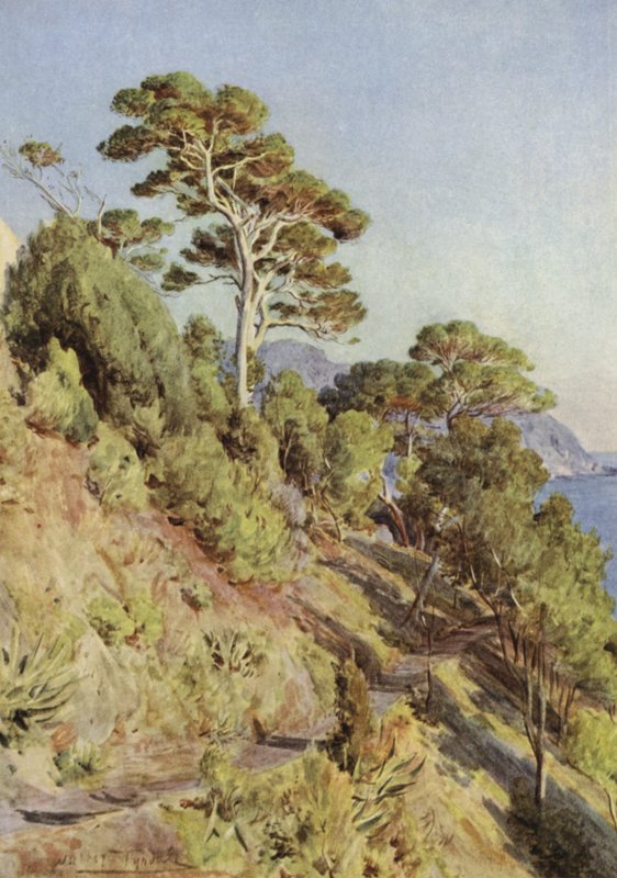 Villa Puma, Sestri Levante tekijältä Walter Frederick Roofe Tyndale