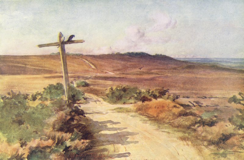 Wessex: Bere Heath syksyllä, etäisyydellä Gallows Hill (värilitro). tekijältä Walter Frederick Roofe Tyndale