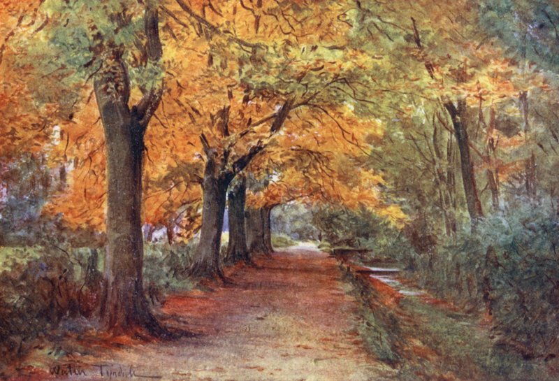 Wessex: Bockhampton Bank, Dorchesterin lähellä (värilitro). tekijältä Walter Frederick Roofe Tyndale