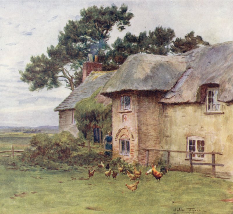 Wessex: Cottages at Stoke (värilitro). tekijältä Walter Frederick Roofe Tyndale