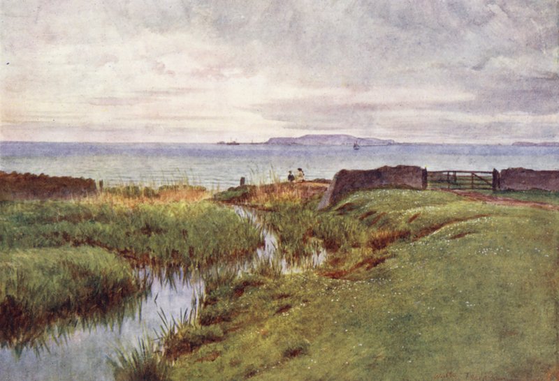 Wessex: Portland Weymouthin lahden pohjoisrannalta (värilitro). tekijältä Walter Frederick Roofe Tyndale