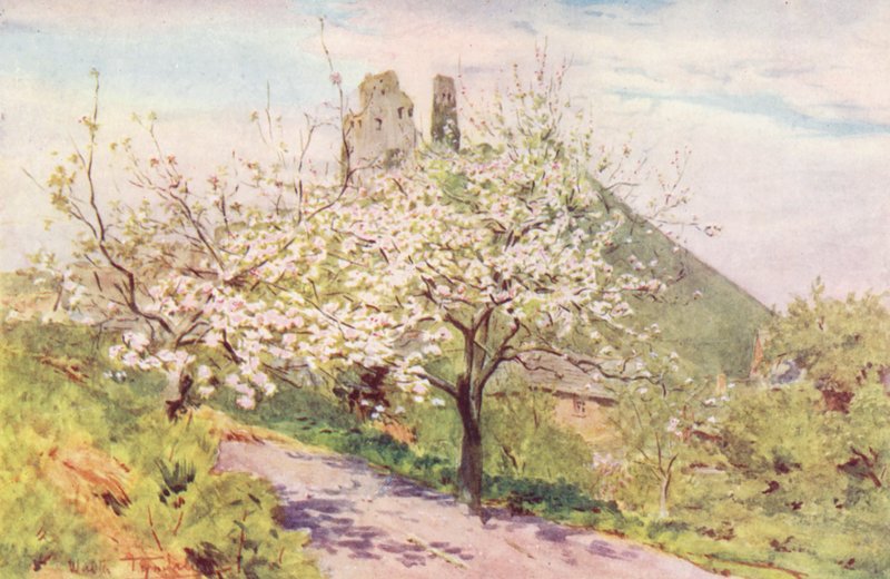 Wessex: Wessexin kevät (värilitro): Spring in Wessex (värilitro) tekijältä Walter Frederick Roofe Tyndale