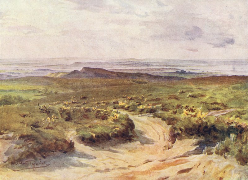 Wessex: Studland Heath, kaukana Poole Harbour (värilitro). tekijältä Walter Frederick Roofe Tyndale