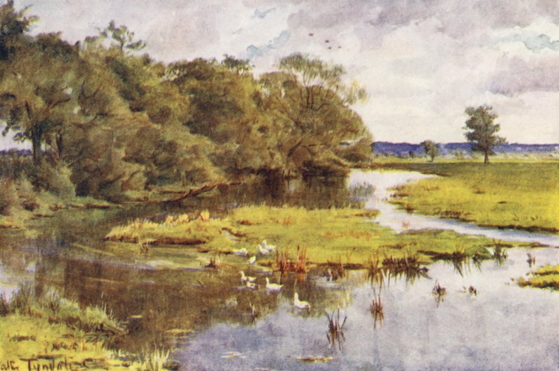 Wessex: Frome Bockhampton Bridge (värilitografia). tekijältä Walter Frederick Roofe Tyndale