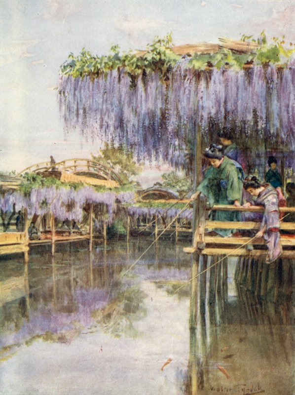 Wistaria Kameidossa tekijältä Walter Frederick Roofe Tyndale