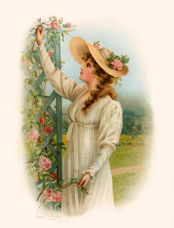 Tennysonin Maud tekijältä Warry